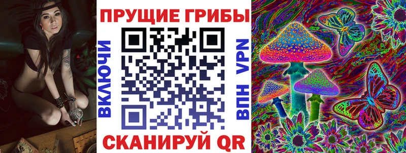 ОМГ ОМГ ТОР  Бийск  Псилоцибиновые грибы GOLDEN TEACHER 