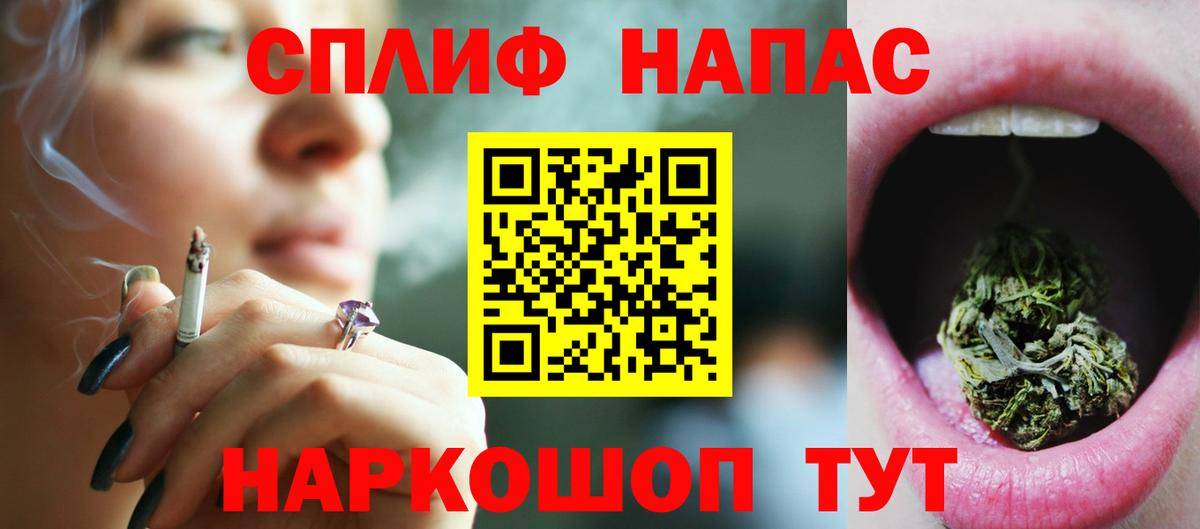 Меф Бийск